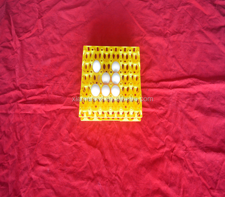 eggs colorful yellow plastic blister thermoforming vacuum plates