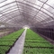 300gsm Recyclable 98% Nursery Shade Net Sunblock Garden Netting Mesh