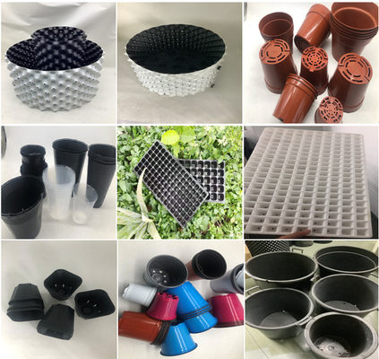 128 Holes Cell Tray Plastic Seedling Tray Blueberry Plant Tomato Seedling Trays