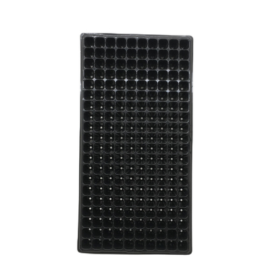 128 Holes Cell Tray Plastic Seedling Tray Blueberry Plant Tomato Seedling Trays