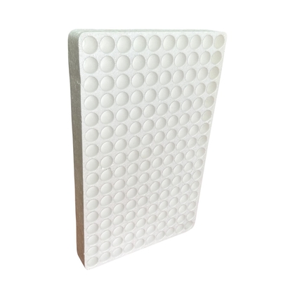 Eco-friendly EPS Foam Seedling Tray Suspended 120 Holes 160 Holes 200 Holes