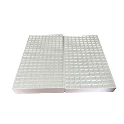 Non toxic EPS Foam Seedling Tray Flowers Fruits Trees Porous Cultivation Tray 50 Holes 120 Holes 160 Holes 200 Holes