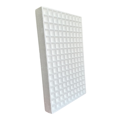 Non toxic EPS Foam Seedling Tray Flowers Fruits Trees Porous Cultivation Tray 50 Holes 120 Holes 160 Holes 200 Holes