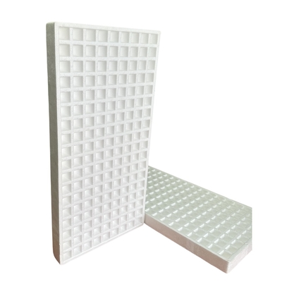 Non toxic EPS Foam Seedling Tray Flowers Fruits Trees Porous Cultivation Tray 50 Holes 120 Holes 160 Holes 200 Holes