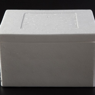 EPP EPS Incubator Refrigerated Fresh Food Transport Incubator