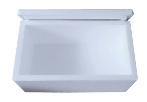 Heat Preservation Cold Chain Transport Foam Box EPS EPP Material Size Density Customized