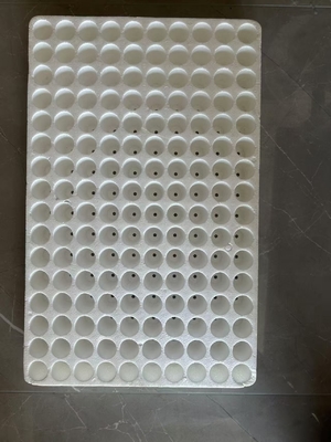 Foam seedling tray tray Vegetable seedling tray hydroponic tray tray White foam traypepper seedling tray wholesale floating foam board water planting seedling tray thickened fruit and vegetable pepper