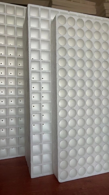 Foam seedling tray tray Vegetable seedling tray hydroponic tray tray White foam traypepper seedling tray wholesale floating foam board water planting seedling tray thickened fruit and vegetable pepper