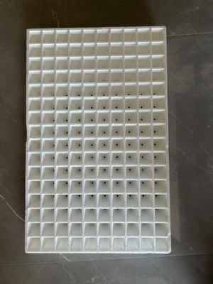 Foam seedling tray tray Vegetable seedling tray hydroponic tray tray White foam traypepper seedling tray wholesale floating foam board water planting seedling tray thickened fruit and vegetable pepper
