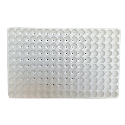 Suspended Foam Seedling Tray EPS Plant Cultivation Tray Customized