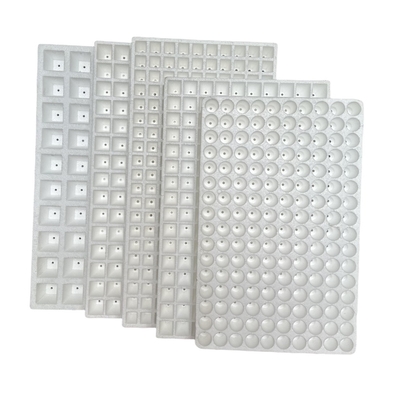Customized EPS Seedling Cultivation Tray For Hydroponic Seedling Cultivation