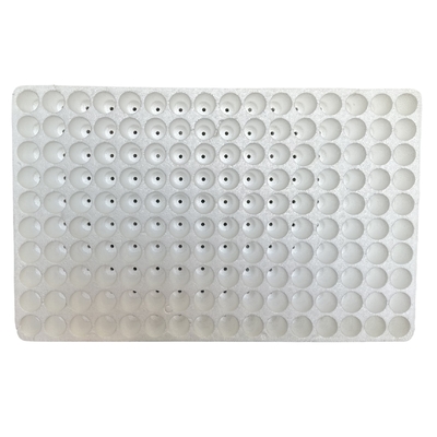Floating Foam Seedling Tray EPS Material Customized Seedling Tray For Various Plants