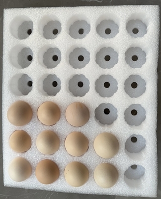 EPE Egg Tray Fragile Products Pearl Cotton Packaging Protection Custom