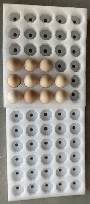 EPE Egg Tray Fragile Products Pearl Cotton Packaging Protection Custom