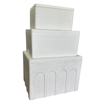 EPS Incubator Cold Chain Transport Foam Box Customization