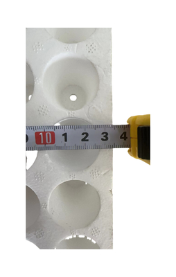160 hole round hole foam seedling tray EPS seedling tray customization