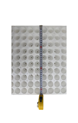 160 hole round hole foam seedling tray EPS seedling tray customization