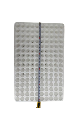 160 hole round hole foam seedling tray EPS seedling tray customization