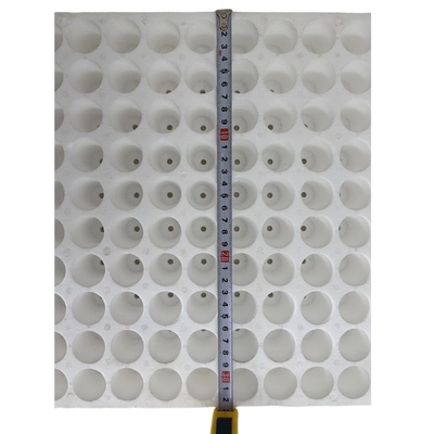 EPS seedling cultivation tray 160 holes round hole foam seedling cultivation tray water cultivation tray