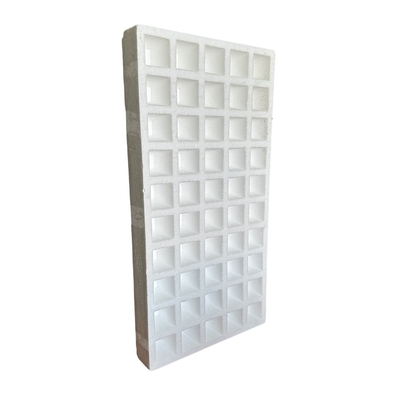 Seedling raising of vegetables (such as tomatoes and peppers), flowers, herbs and other crops in foam seedling tray