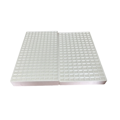 Seedling raising of vegetables (such as tomatoes and peppers), flowers, herbs and other crops in foam seedling tray