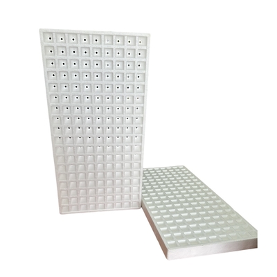 Seedling raising of vegetables (such as tomatoes and peppers), flowers, herbs and other crops in foam seedling tray