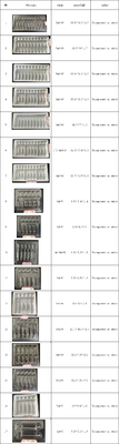 Customized PET Ampoule Tray 1ml~10ml PET Ampoule Water Injection Tray