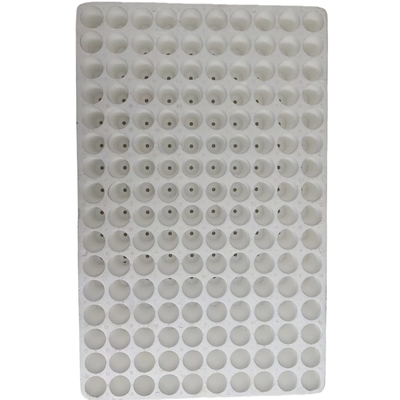 EPS foam seedling tray Customized vegetable, flower and tobacco seedling tray