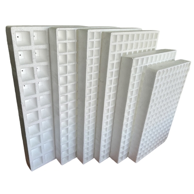 EPS foam seedling tray Customized vegetable, flower and tobacco seedling tray