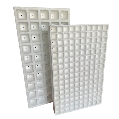 EPS foam seedling tray customized for vegetable, fruit, flower and tobacco seedlings.