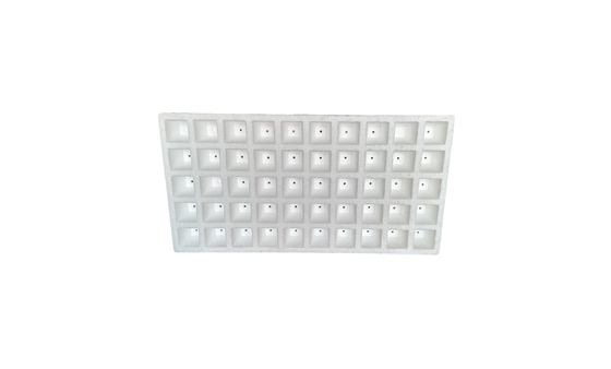 EPS Foam Seedling Tray 50 Points 120 Points 160 Points 200 Points Customized Wholesale Of Fruits Vegetables And Flowers