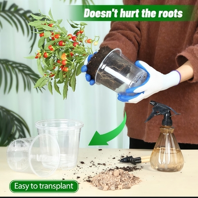 Transparent Orchid Pot With UV Resistant Coating