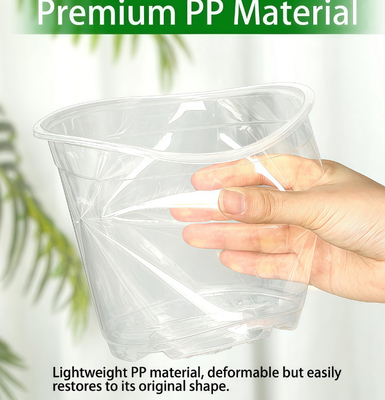 Transparent Orchid Pot With UV Resistant Coating