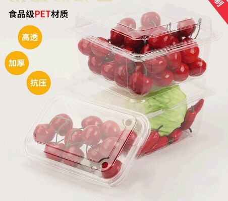 Customized Design Recyclable PET Plastic Blister Packaging with Heat Sealing for Fresh Produce