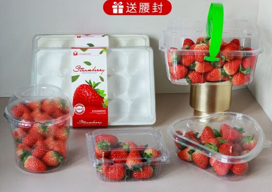 Customized PET Plastic Blister Packaging Box with Heat Sealing and Recyclable Material for Fruit and Tomato Packaging