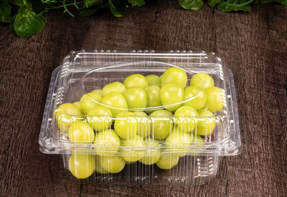 Customized Design Recyclable PET Heat Sealing Fruit Packaging Box Plastic Blister Packaging