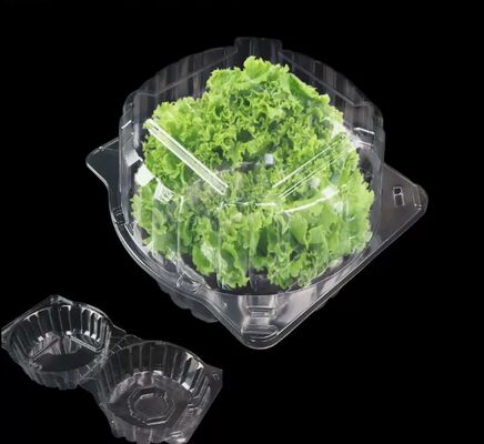 Customized Design Recyclable PET Fruit Packaging Box with Heat Sealing for Perfect Protection