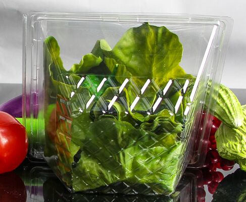 Customized Design Recyclable PET Blister Packaging with Heat Sealing for Transparent Fruit Packaging Box
