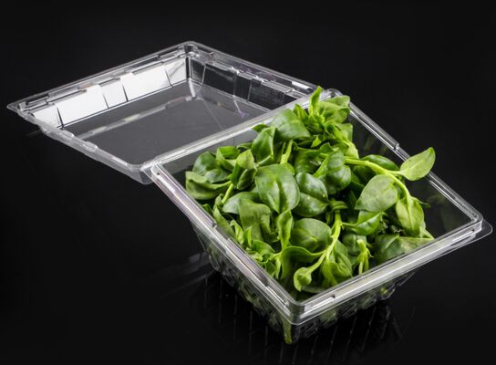 Customized Design Recyclable PET Blister Packaging with Heat Sealing for Transparent Fruit Packaging Box