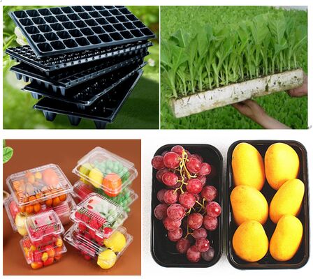 Customized Design Recyclable PET Transparent Fruit Box with Heat Sealing for Grape and Tomato Packaging