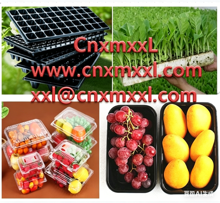 Customized disposable fresh fruit cutting box with transparent lid and compartmentalized fruit packaging box made of PET fruit plastic packing box