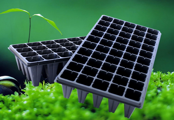 128, 200 seedling trays, seedling holders, plastic seedling trays  seedling tray  seed starter tray   seedling starter tray