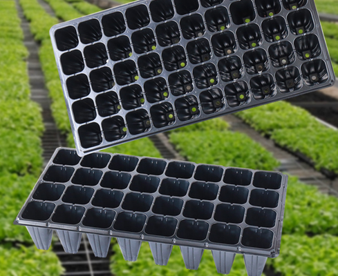 21 seedling tray, seedling holders, plastic seedling trays  seedling tray  seed starter tray   seedling starter tray