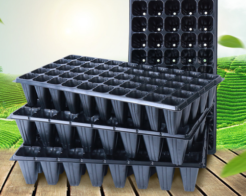 thickened seed tray,standard nursery tray,rigid plug tray,multiple cavity tray,uniform cell tray,flat seed starting tray,PS plastic seed tray,PVC nursery tray