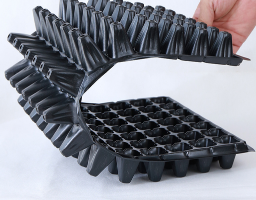 thickened seed tray,standard nursery tray,rigid plug tray,multiple cavity tray,uniform cell tray,flat seed starting tray,PS plastic seed tray,PVC nursery tray