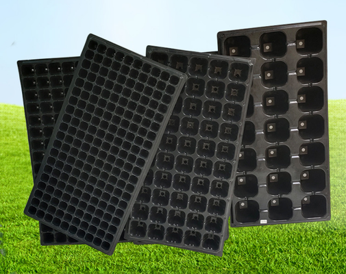thickened seed tray,standard nursery tray,rigid plug tray,multiple cavity tray,uniform cell tray,flat seed starting tray,PS plastic seed tray,PVC nursery tray