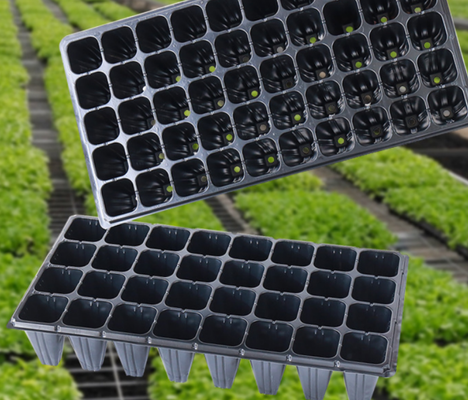 crack‑resistant seed tra,impact‑resistant seed tray,food grade plastic tray,lightweight nursery tray,waterproof seed tray,corrosion resistant plug tray,seed germination,seedling raising,plant rooting,