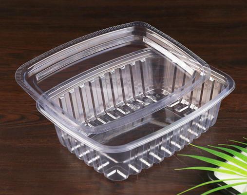 Eco-Friendly Transparent Macaron Packaging Tray Customizable for Chocolate and Bread