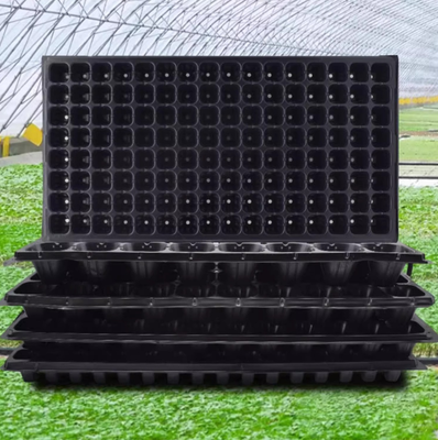 72 cell tray,105 cell tray,128 cell tray,200 cell tray,hole seed tray,