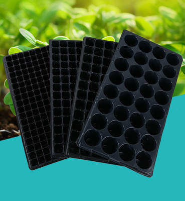 Special-purpose vegetable seedling trays, plug trays for seedling cultivation, cups for vegetable breeding, cuttings boxes for agriculture, agricultural trays, plastic seedling tray